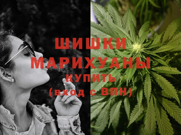mdpv Бородино